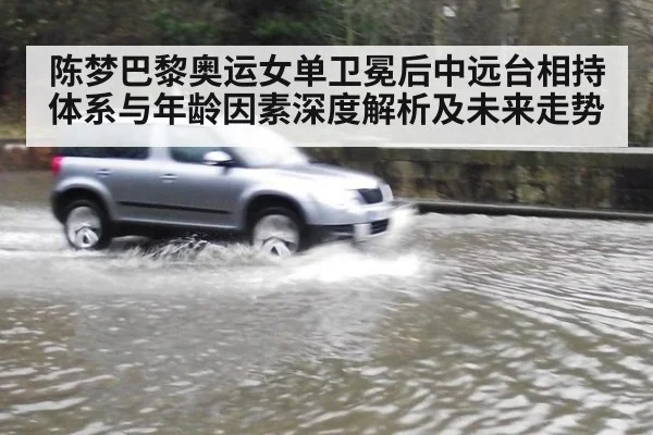 陈梦巴黎奥运女单卫冕后中远台相持体系与年龄因素深度解析及未来走势